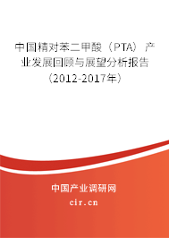 中國精對苯二甲酸（PTA）產(chǎn)業(yè)發(fā)展回顧與展望分析報告（2012-2017年）