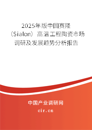 2025年版中國賽隆（Sialon）高溫工程陶瓷市場調(diào)研及發(fā)展趨勢分析報告