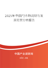 2025年中國勺市場調(diào)研與發(fā)展前景分析報告
