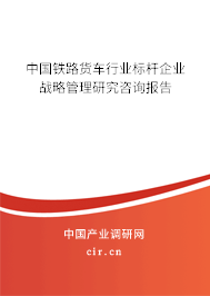 中國鐵路貨車行業(yè)標桿企業(yè)戰(zhàn)略管理研究咨詢報告