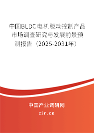 中國BLDC電機驅(qū)動控制產(chǎn)品市場調(diào)查研究與發(fā)展前景預(yù)測報告（2025-2031年）