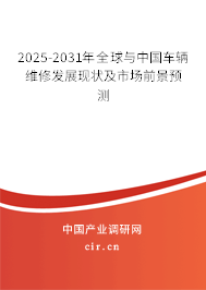 2025-2031年全球與中國車輛維修發(fā)展現(xiàn)狀及市場前景預測