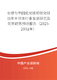全球與中國氮化鎵和碳化硅功率半導(dǎo)體行業(yè)發(fā)展研究及前景趨勢預(yù)測報告（2025-2031年）
