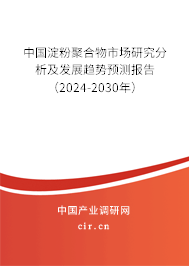 中國(guó)淀粉聚合物市場(chǎng)研究分析及發(fā)展趨勢(shì)預(yù)測(cè)報(bào)告（2024-2030年）