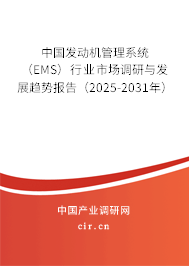 中國發(fā)動機管理系統(tǒng)（EMS）行業(yè)市場調(diào)研與發(fā)展趨勢報告（2025-2031年）