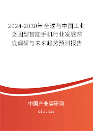 2024-2030年全球與中國工業(yè)堅固型智能手機行業(yè)發(fā)展深度調(diào)研與未來趨勢預測報告