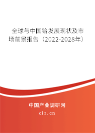 全球與中國(guó)鉿發(fā)展現(xiàn)狀及市場(chǎng)前景報(bào)告（2022-2028年）