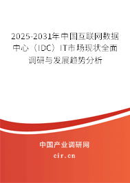 2025-2031年中國互聯(lián)網(wǎng)數(shù)據(jù)中心（IDC）IT市場現(xiàn)狀全面調(diào)研與發(fā)展趨勢分析