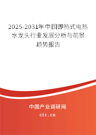2025-2031年中國即熱式電熱水龍頭行業(yè)發(fā)展分析與前景趨勢報告