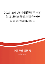 2025-2031年中國鋰離子電池負(fù)極材料市場(chǎng)現(xiàn)狀研究分析與發(fā)展趨勢(shì)預(yù)測(cè)報(bào)告