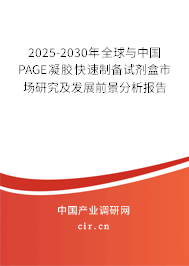 2025-2030年全球與中國PAGE凝膠快速制備試劑盒市場研究及發(fā)展前景分析報告