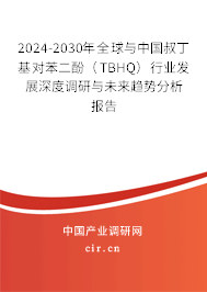 2024-2030年全球與中國叔丁基對苯二酚（TBHQ）行業(yè)發(fā)展深度調(diào)研與未來趨勢分析報告