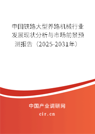 中國鐵路大型養(yǎng)路機械行業(yè)發(fā)展現(xiàn)狀分析與市場前景預(yù)測報告（2025-2031年）