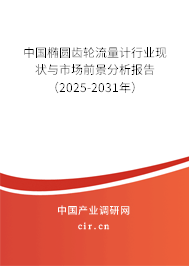 中國橢圓齒輪流量計(jì)行業(yè)現(xiàn)狀與市場前景分析報(bào)告（2025-2031年）