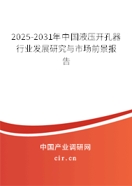 2025-2031年中國液壓開孔器行業(yè)發(fā)展研究與市場前景報告