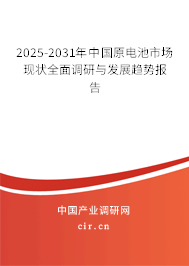 2025-2031年中國原電池市場現(xiàn)狀全面調(diào)研與發(fā)展趨勢報告