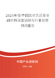 2025年版中國真空負(fù)壓安全閥市場深度調(diào)研與行業(yè)前景預(yù)測報告