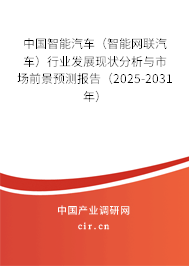 中國智能汽車（智能網(wǎng)聯(lián)汽車）行業(yè)發(fā)展現(xiàn)狀分析與市場前景預(yù)測報告（2025-2031年）