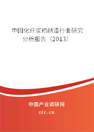 中國化纖漿粕制造行業(yè)研究分析報告（2013）