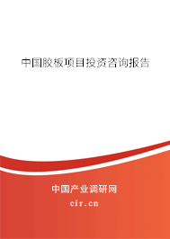中國膠板項目投資咨詢報告