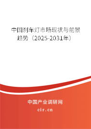 中國剎車燈市場現(xiàn)狀與前景趨勢(shì)（2025-2031年）