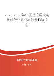 2025-2031年中國超臨界火電機(jī)組行業(yè)研究與前景趨勢(shì)報(bào)告