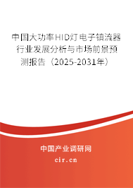 中國大功率HID燈電子鎮(zhèn)流器行業(yè)發(fā)展分析與市場前景預測報告（2025-2031年）