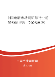 中國電磨市場調(diào)研與行業(yè)前景預(yù)測報(bào)告（2025年版）