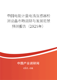 中國(guó)電能計(jì)量電流互感器檢測(cè)設(shè)備市場(chǎng)調(diào)研與發(fā)展前景預(yù)測(cè)報(bào)告（2025年）