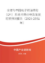 全球與中國(guó)電子燃油噴射（EFI）系統(tǒng)市場(chǎng)分析及發(fā)展前景預(yù)測(cè)報(bào)告（2025-2031年）