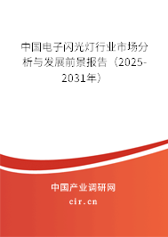 中國(guó)電子閃光燈行業(yè)市場(chǎng)分析與發(fā)展前景報(bào)告（2025-2031年）