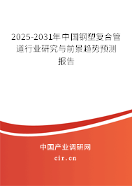 2025-2031年中國鋼塑復(fù)合管道行業(yè)研究與前景趨勢預(yù)測報告
