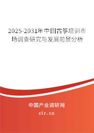 2025-2031年中國古箏培訓市場調(diào)查研究與發(fā)展前景分析
