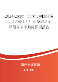 2024-2030年全球與中國硅藻土（硅藻土）行業(yè)發(fā)展深度調(diào)研與未來趨勢預(yù)測報(bào)告