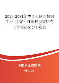 2025-2031年中國(guó)互聯(lián)網(wǎng)數(shù)據(jù)中心（IDC）IT市場(chǎng)調(diào)查研究與前景趨勢(shì)分析報(bào)告