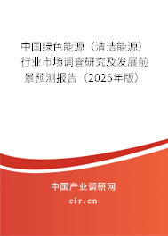 中國(guó)綠色能源（清潔能源）行業(yè)市場(chǎng)調(diào)查研究及發(fā)展前景預(yù)測(cè)報(bào)告（2025年版）