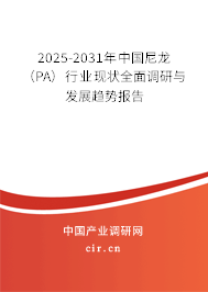 2025-2031年中國(guó)尼龍（PA）行業(yè)現(xiàn)狀全面調(diào)研與發(fā)展趨勢(shì)報(bào)告