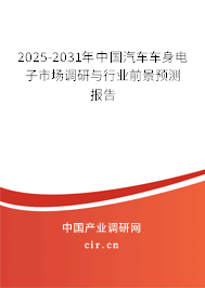 2025-2031年中國汽車車身電子市場調(diào)研與行業(yè)前景預測報告