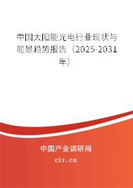 中國太陽能光電行業(yè)現(xiàn)狀與前景趨勢報告（2025-2031年）