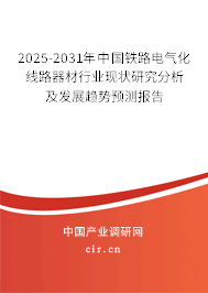 2025-2031年中國(guó)鐵路電氣化線路器材行業(yè)現(xiàn)狀研究分析及發(fā)展趨勢(shì)預(yù)測(cè)報(bào)告
