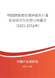 中國鐵路維修維護(hù)服務(wù)行業(yè)發(fā)展研究與前景分析報告（2025-2031年）