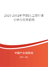 2025-2031年中國土工膜行業(yè)分析與前景趨勢