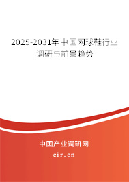2025-2031年中國(guó)網(wǎng)球鞋行業(yè)調(diào)研與前景趨勢(shì)