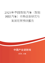 2025年中國智能汽車（智能網(wǎng)聯(lián)汽車）市場調(diào)查研究與發(fā)展前景預測報告