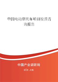 中國電動摩托車項目投資咨詢報告