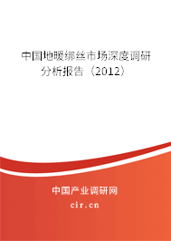中國(guó)地暖綁絲市場(chǎng)深度調(diào)研分析報(bào)告（2012）