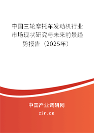 中國(guó)三輪摩托車發(fā)動(dòng)機(jī)行業(yè)市場(chǎng)現(xiàn)狀研究與未來前景趨勢(shì)報(bào)告（2025年）