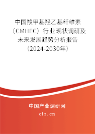 中國羧甲基羥乙基纖維素（CMHEC）行業(yè)現(xiàn)狀調(diào)研及未來發(fā)展趨勢分析報告（2024-2030年）