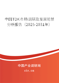 中國TDK市場調(diào)研及發(fā)展前景分析報告（2025-2031年）