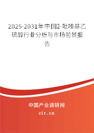 2025-2031年中國2-吡嗪基乙硫醇行業(yè)分析與市場前景報告